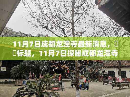 关于我们 第563页