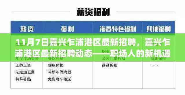 嘉兴乍浦港区最新招聘动态，职场人的新机遇在乍浦港区开启