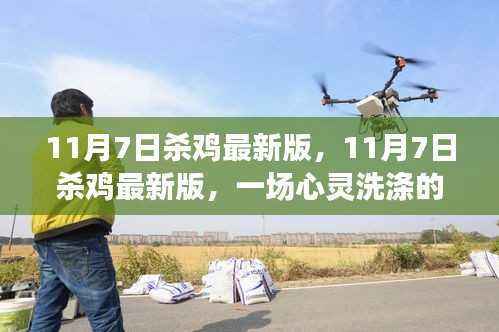 11月7日杀鸡最新版，自然美景的心灵洗涤之旅