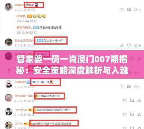 管家婆一码一肖澳门007期揭秘：安全策略深度解析与入魂境AYP304.33探索