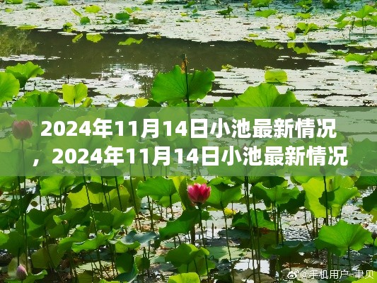 容光焕发 第13页