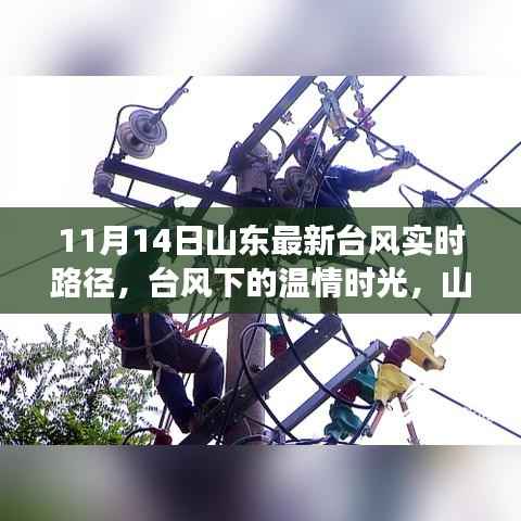 山东台风下的温情时光，家庭与朋友的奇妙旅程实时更新（11月14日）