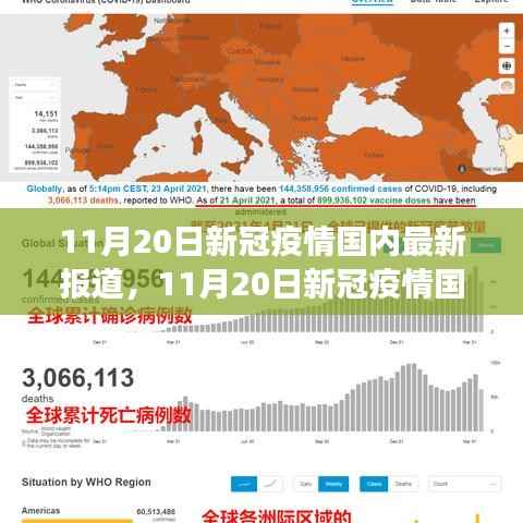11月20日新冠疫情国内最新报道，防控与未来走向的观察与思考——某某角度透视