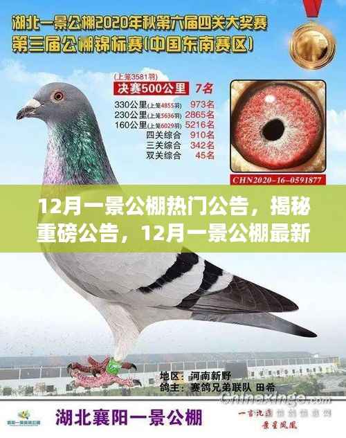 废寝忘食 第5页