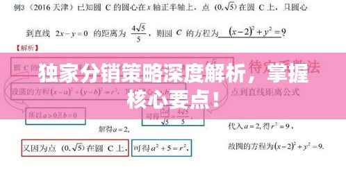 独家分销策略深度解析，掌握核心要点！