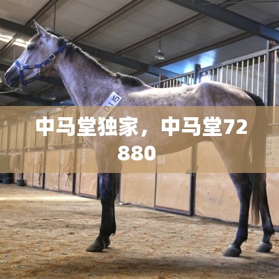 中马堂独家,中马堂72880