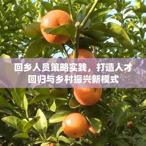 回乡人员策略实践,打造人才回归与乡村振兴新模式