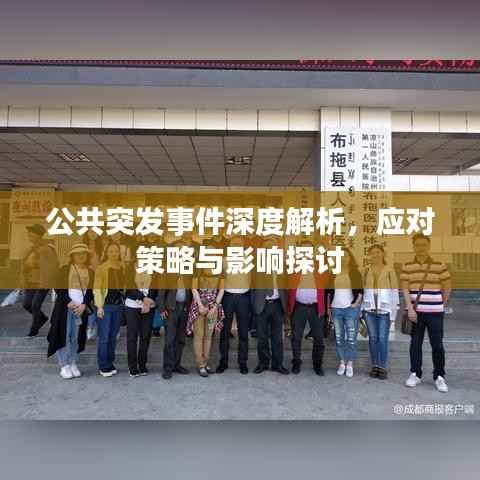 公共突发事件深度解析，应对策略与影响探讨