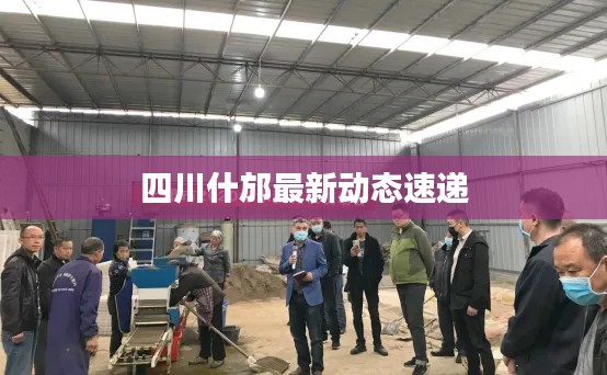 四川什邡最新动态速递