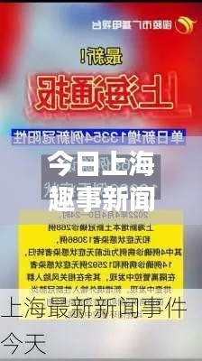 今日上海趣事新闻速递