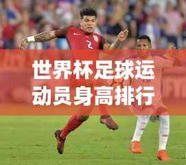 世界杯足球运动员身高排行榜，揭秘球员身高趋势与影响探究